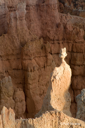 Bryce Canyon NP Sunset Point Rabbit