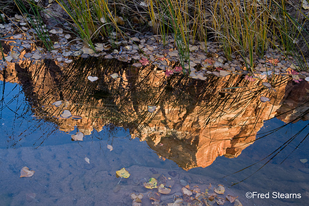 Zion NP Pine Creek