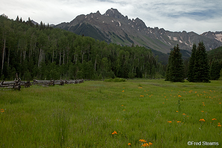 East Dallas Creek Uncompahgre National Forest Ridgeway Colorado