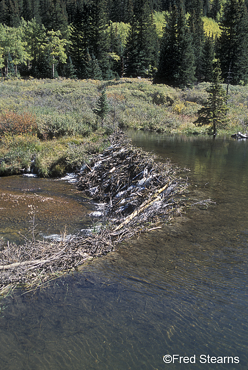 Arapaho NF Guanella Pass