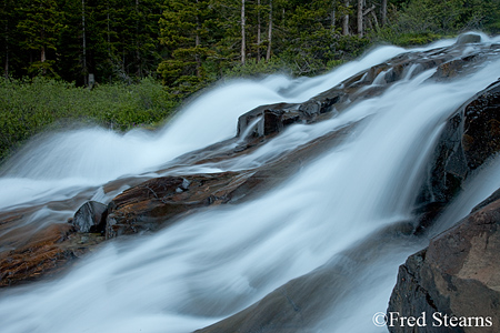 Yankee Boy Basin Uncompahgre National Forest Ouray Colorado