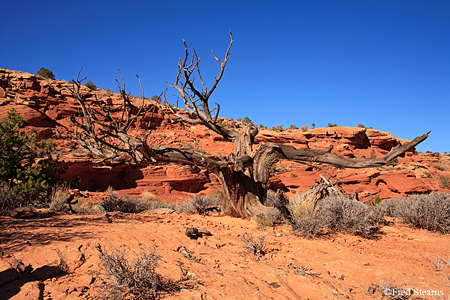 Monument Valley Hunts Mesa Sunset
